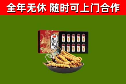 滨江烟酒回收冬虫夏草礼盒.jpg